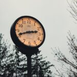A large outdoor clock with trees in background