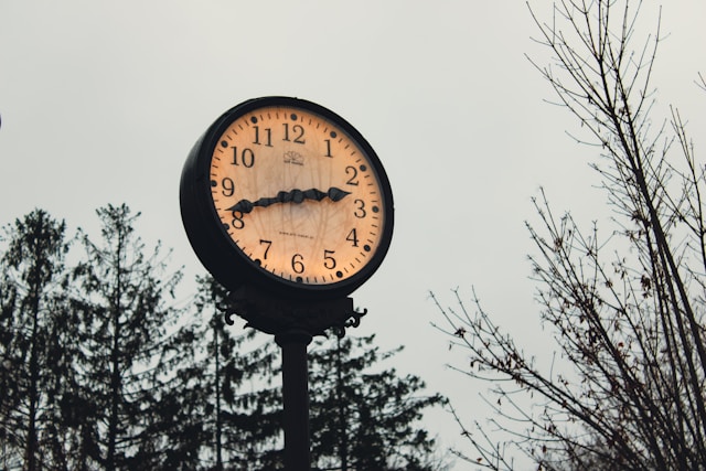 A large outdoor clock with trees in background